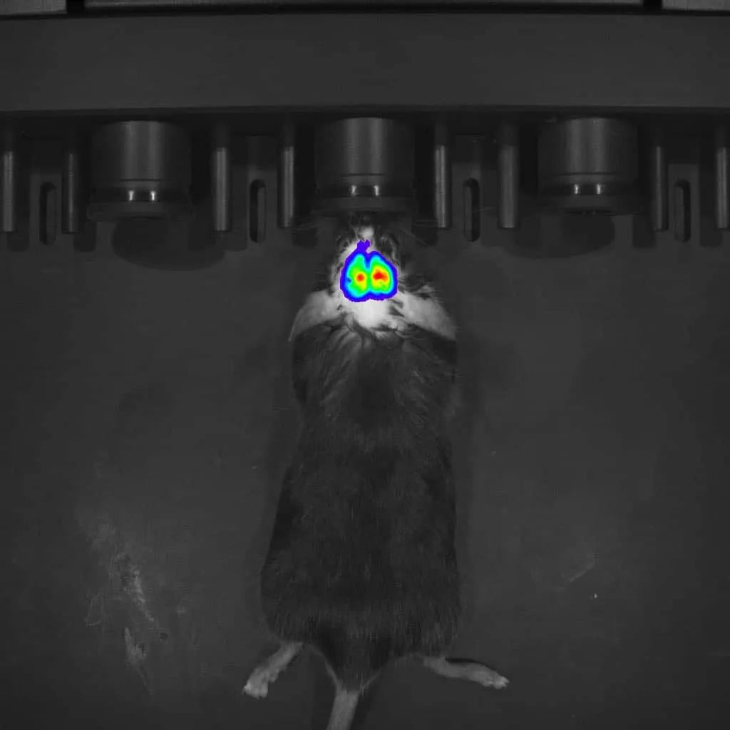 small animal in vivo imaging system