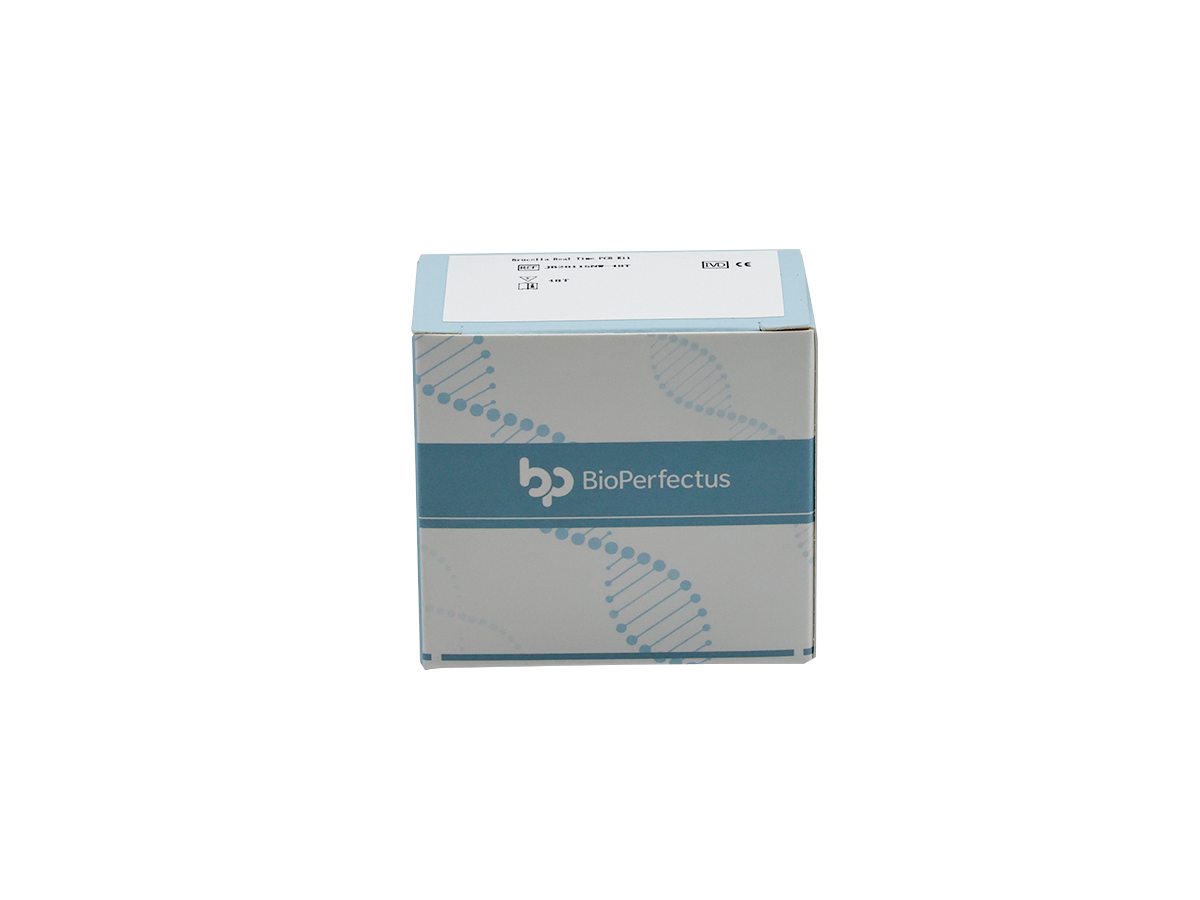 Brucella Real Time PCR Kit