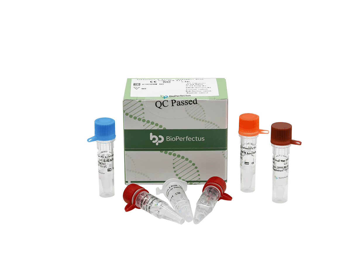Influenza A Virus (H1N1 & H3) Real Time PCR Kit
