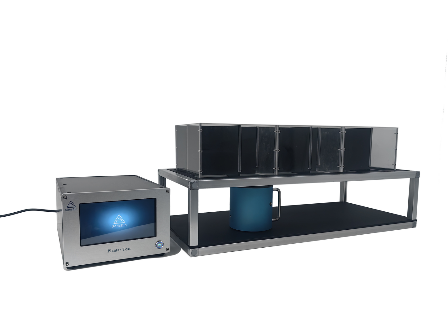 Hargreaves Plantar Test