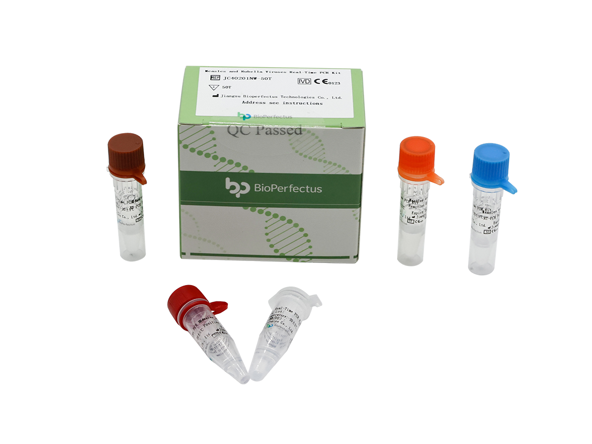 Measles and Rubella Viruses Real-Time PCR Kit
