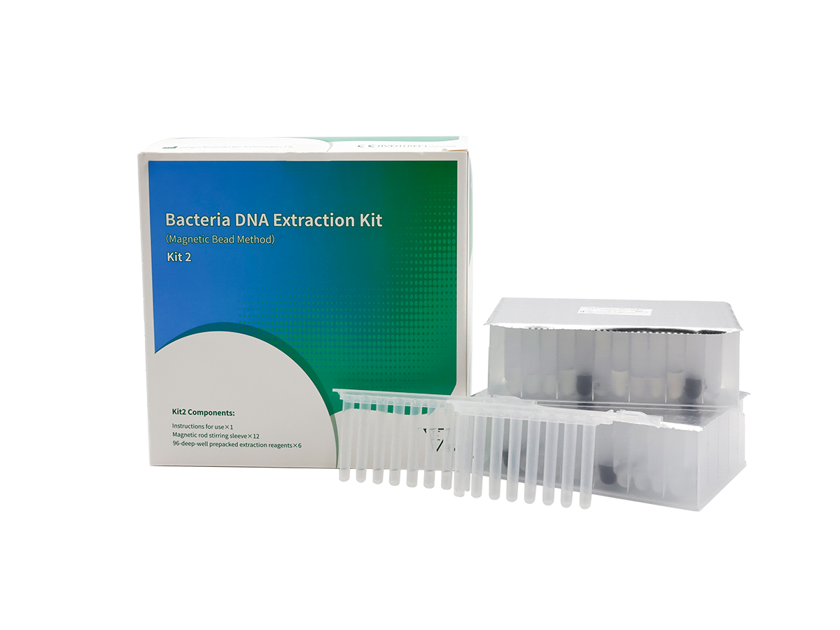 Bacteria DNA Extraction Kit (Magnetic Bead Method)