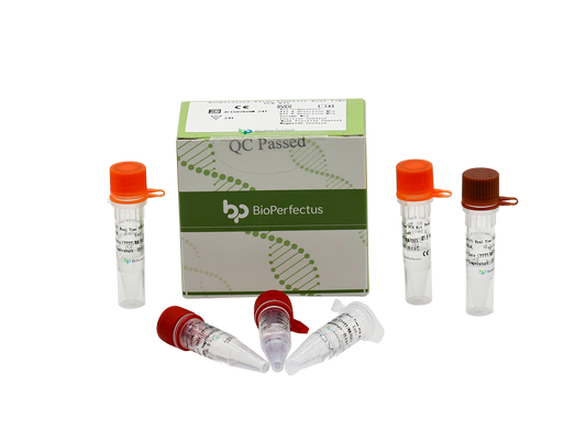 Respiratory Virus Panel (7) Real Time PCR Kit