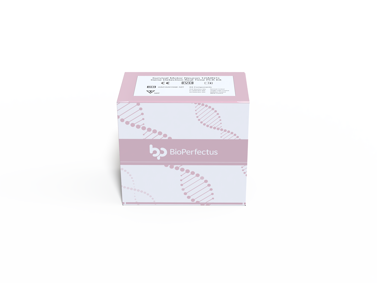 Survival Motor Neuron 1 (SMN1)  Real Time PCR Kit