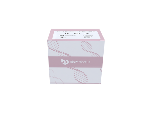 Group B Streptococcus Real Time PCR Kit