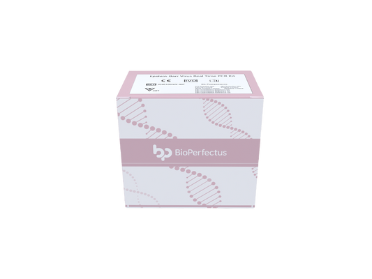 Epstein-Barr Virus Quantitation Real Time PCR Kit