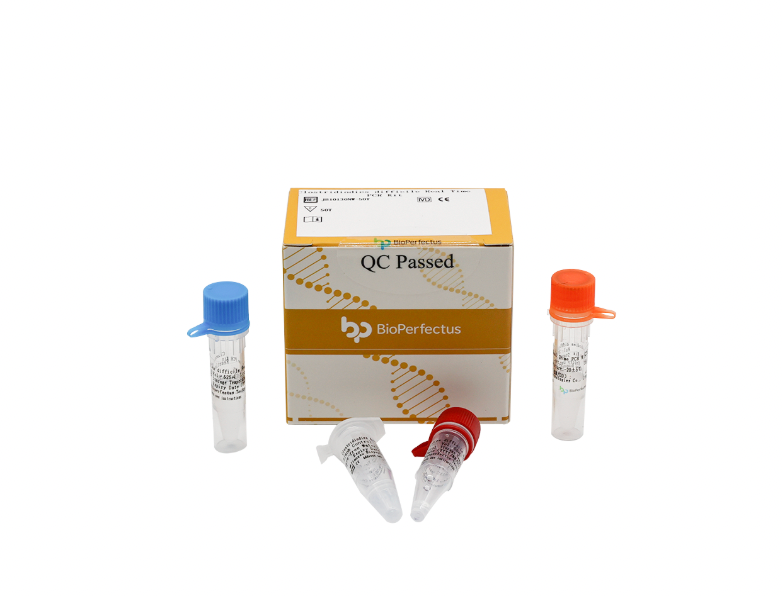 Clostridiodies difficile Real Time PCR Kit