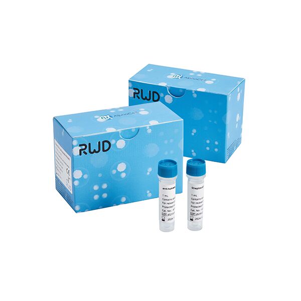 Human CD19+ Cell Separation Kit(RUO)