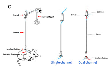 Tired of Injecting Your Animal Everyday? Here are 3 Solutions for Drug Delivery and Blood Sampling Experimental Design