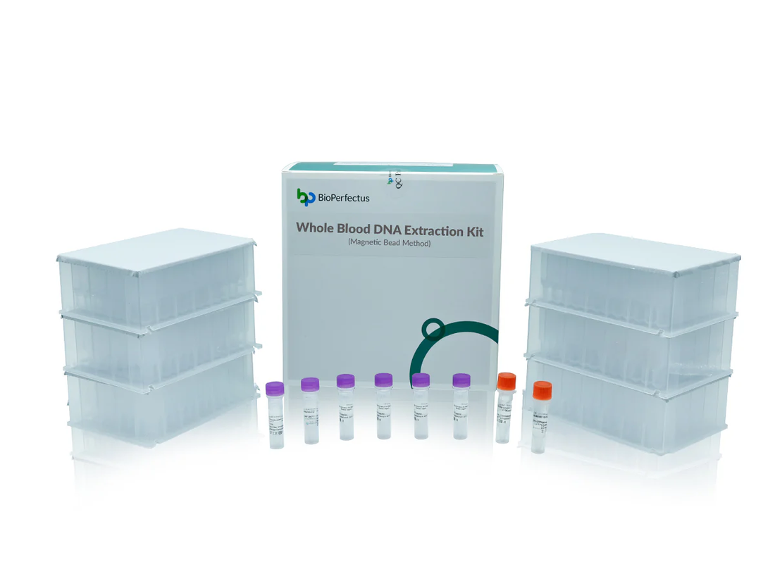 Is PCR the Same as DNA Extraction?