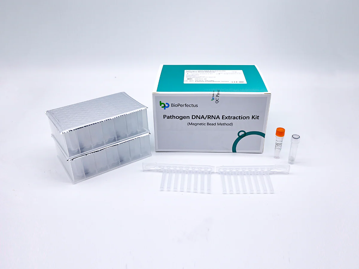 What Are the Basic Steps in an Automated Nucleic Acid Extraction Protocol?