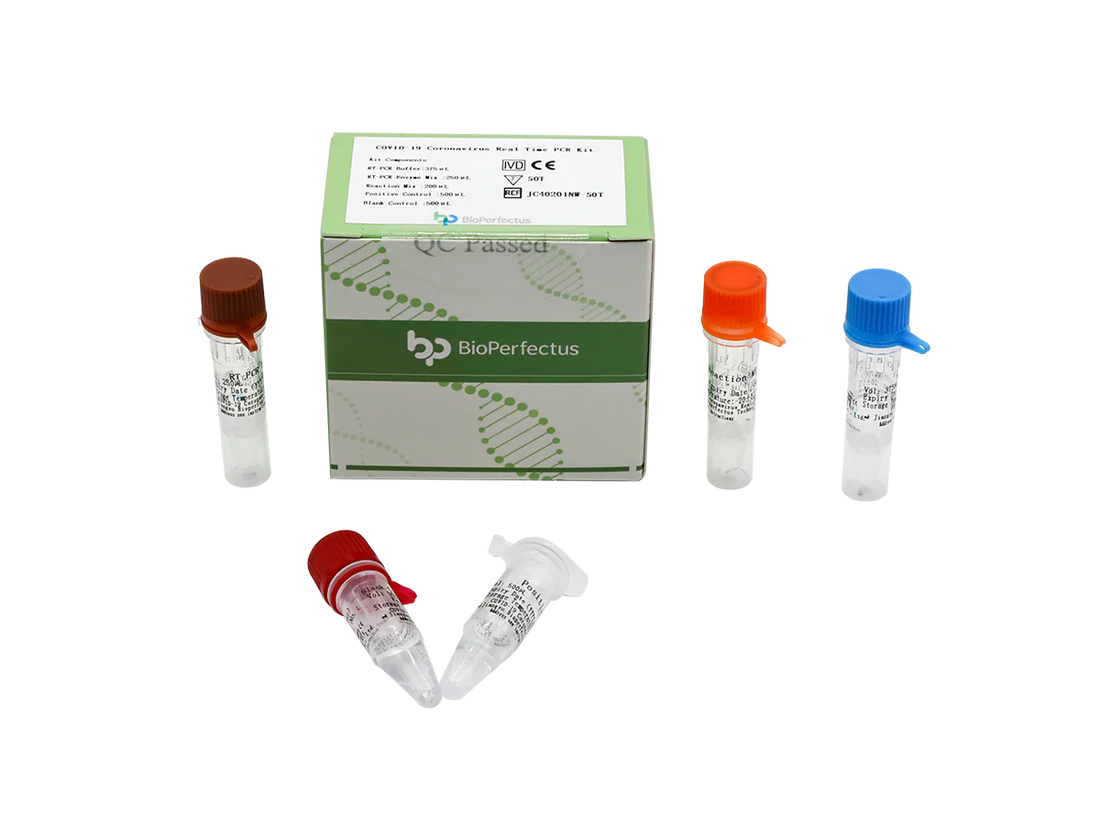 A Stepwise Guide to Reading Your Respiratory Panel Test Output