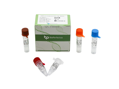 A Stepwise Guide to Reading Your Respiratory Panel Test Output