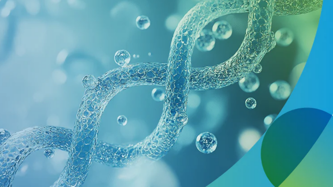 How Does a Bioreactor Work in Biotechnology?