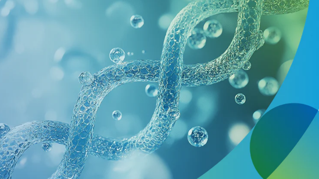 How Does a Bioreactor Work in Biotechnology?