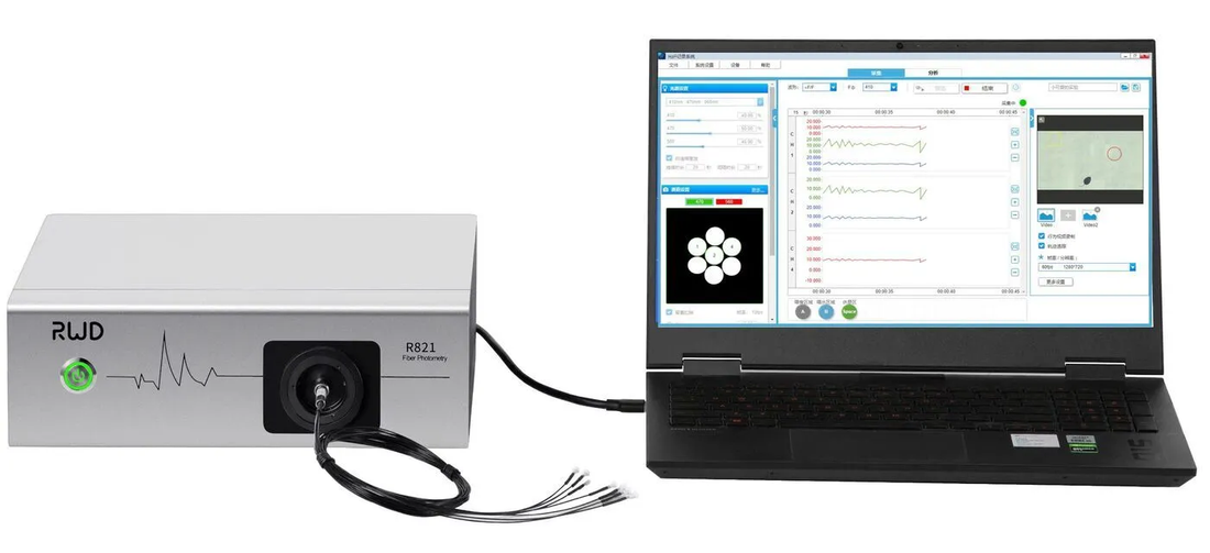 Your Checklist for a Multi-Channel Fiber Photometry System