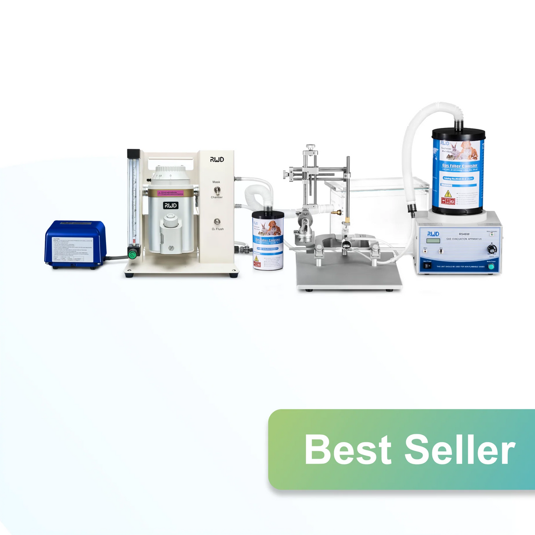 Categorizing Electrophoresis Systems for Laboratory Use