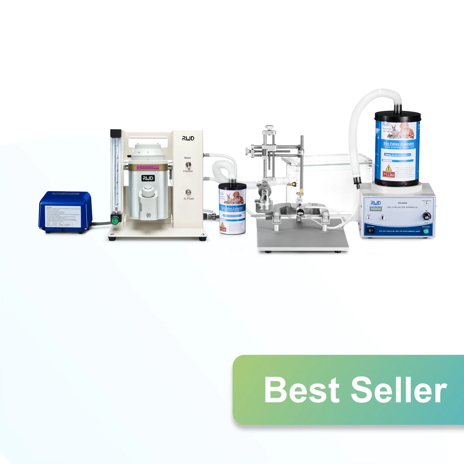 Categorizing Electrophoresis Systems for Laboratory Use