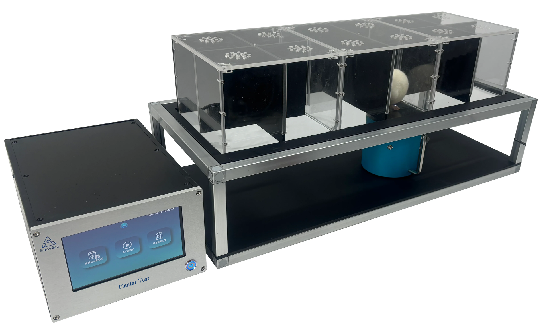 What is the Standard Protocol for the Hargreaves Test in Animal Behavior Research?