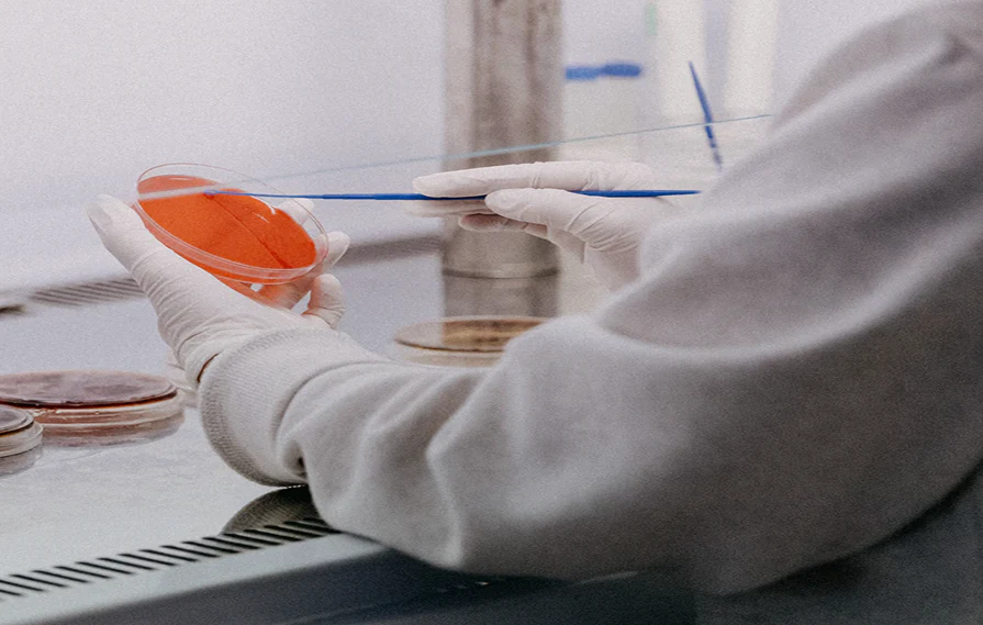 Ensuring Long-Term Value: Why Choosing a Supplier With Strong After-Sales Service (Like BPLabLine) Matters