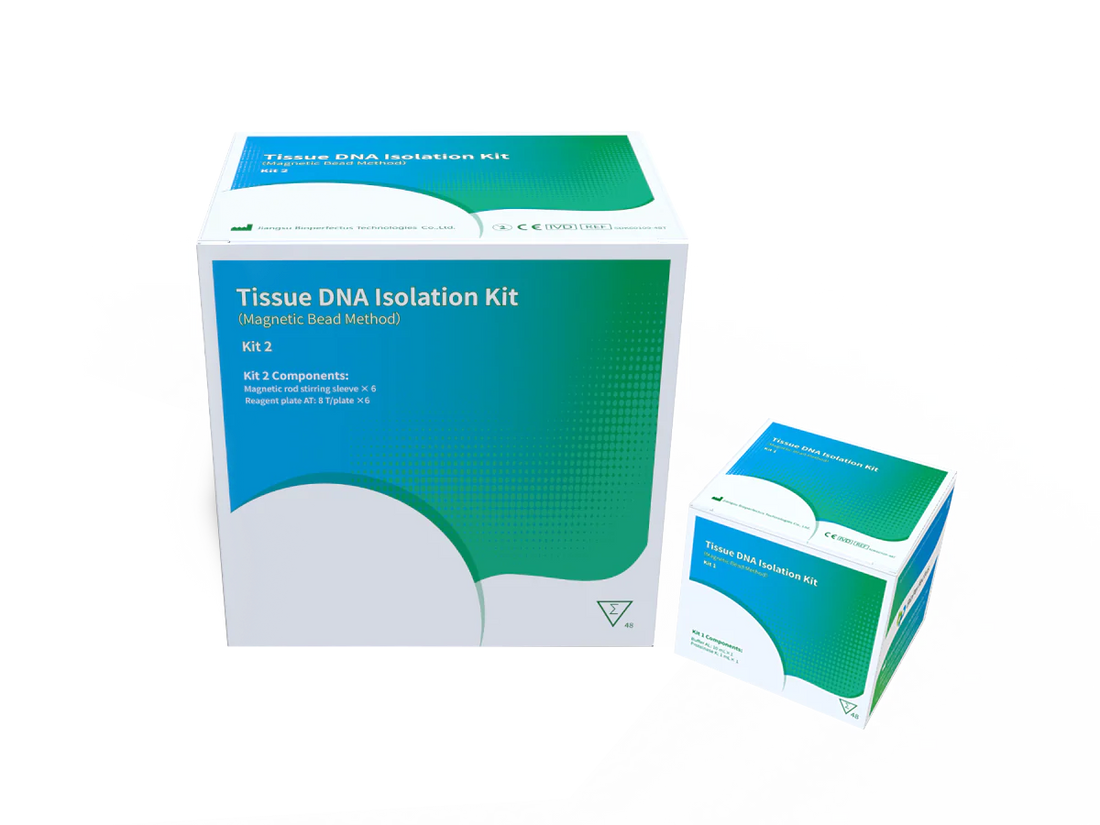 Understanding the Magnetic Bead Method for Tissue DNA Isolation and Purification