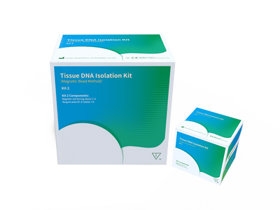 Understanding the Magnetic Bead Method for Tissue DNA Isolation and Purification
