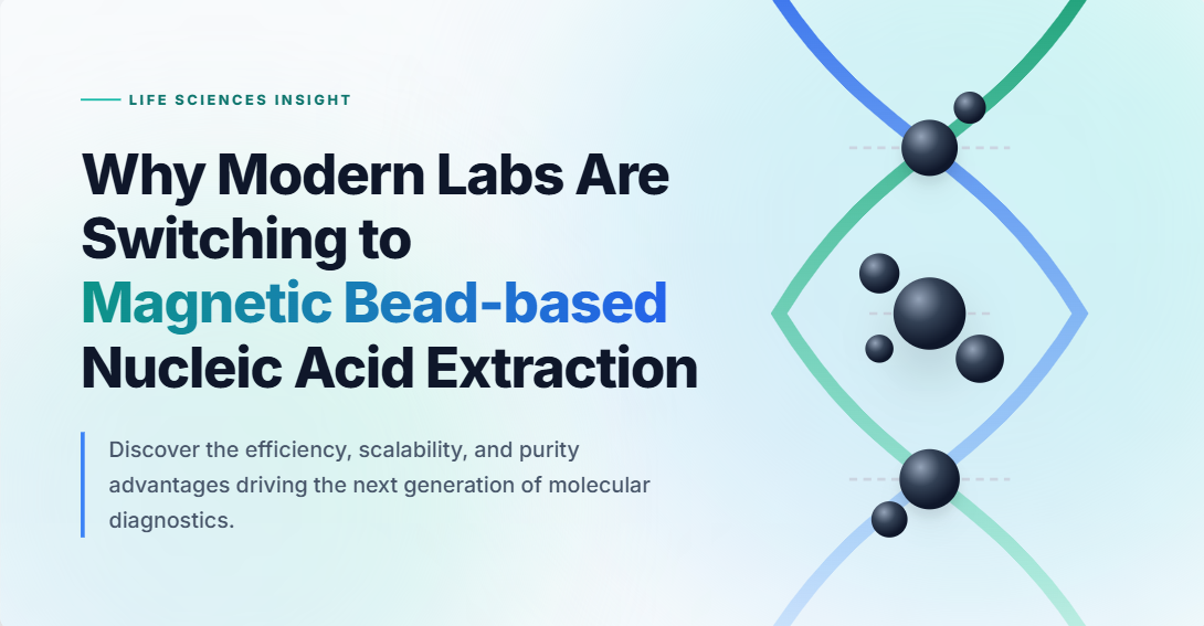 magnetic bead–based nucleic acid extraction