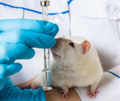 2.0 Animal Research Equipment