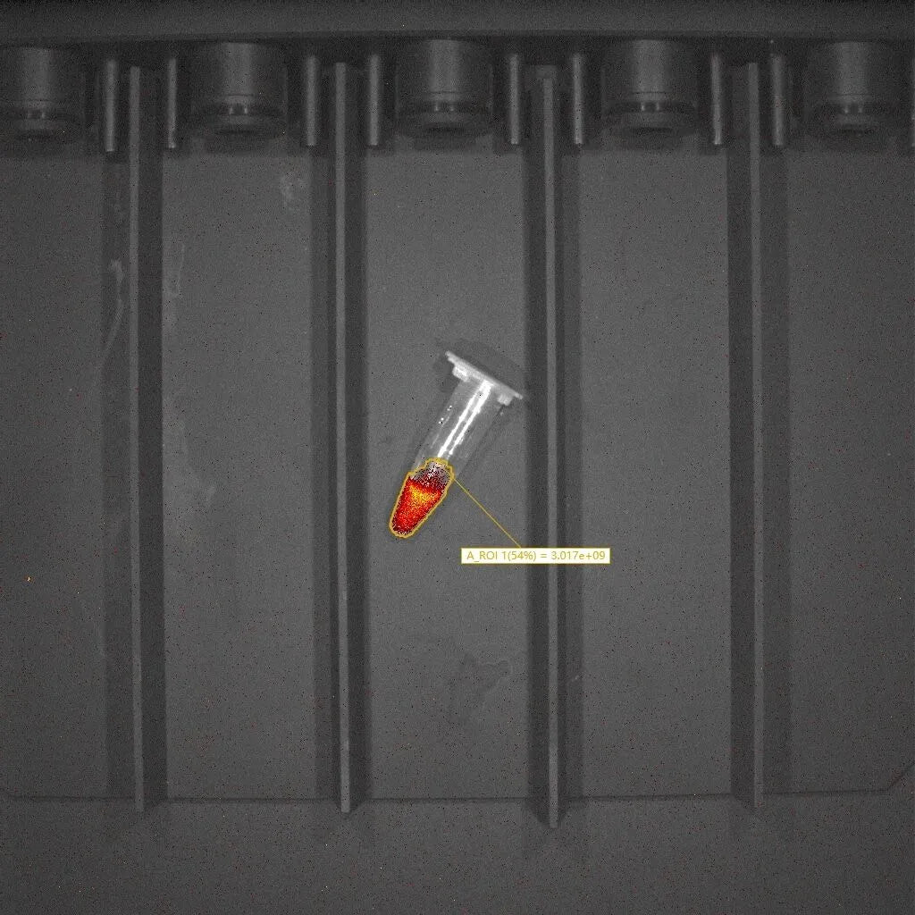 small animal in vivo imaging system