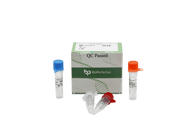 BioPerfectus Allfastra Respiratory Bacteria Panel (3) Real Time PCR Kit