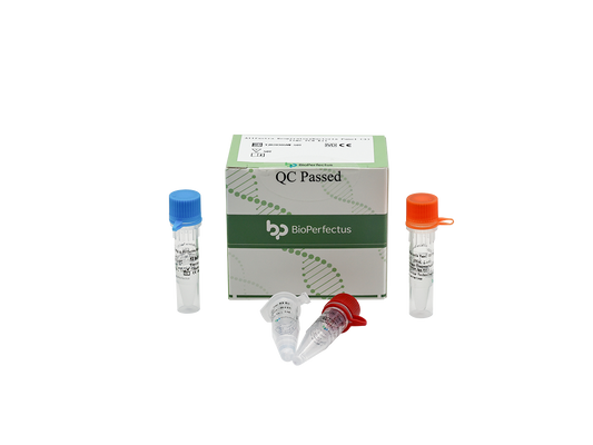 Allfastra Respiratory Bacteria Panel (3) Real Time PCR Kit