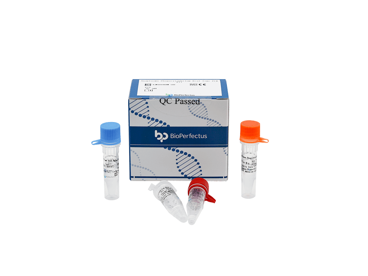 BioPerfectus Anaplasma Phagocytophilum Real Time PCR Kit