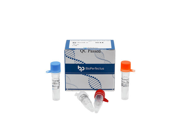 BioPerfectus Anaplasma Phagocytophilum Real Time PCR Kit