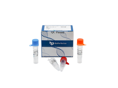 Anaplasma Phagocytophilum Real Time PCR Kit