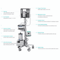 Techman Animal Anesthesia System