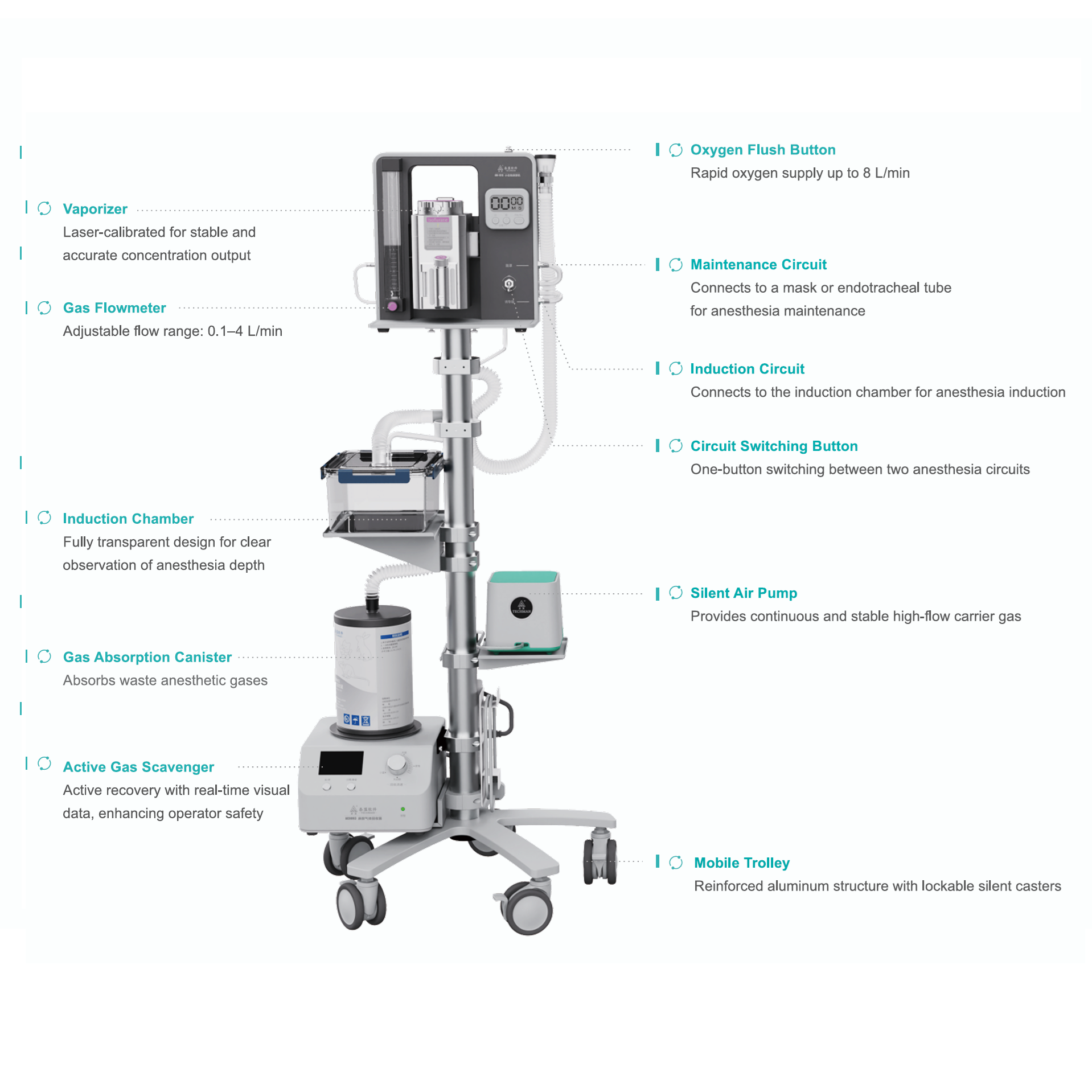 Techman Animal Anesthesia System