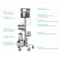 Techman Animal Anesthesia System