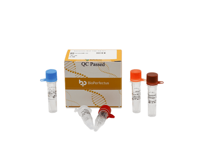 BioPerfectus Astrovirus Real Time PCR Kit