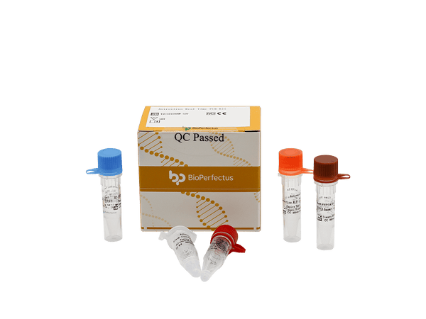 BioPerfectus Astrovirus Real Time PCR Kit