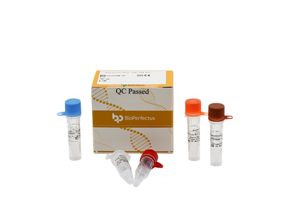 Astrovirus Real Time PCR Kit