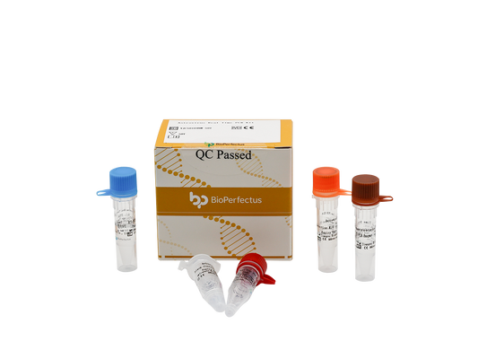 Astrovirus Real Time PCR Kit