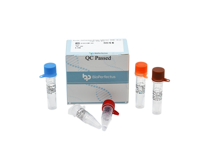 Avian Influenza Virus Subtype H5N2 Real Time PCR Kit