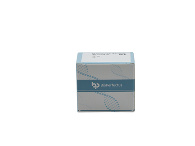 Avian Influenza Virus Subtype H7N9 Real Time PCR Kit
