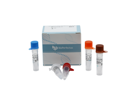 Avian Influenza Virus (H5/H7/H9) Real Time PCR Kit