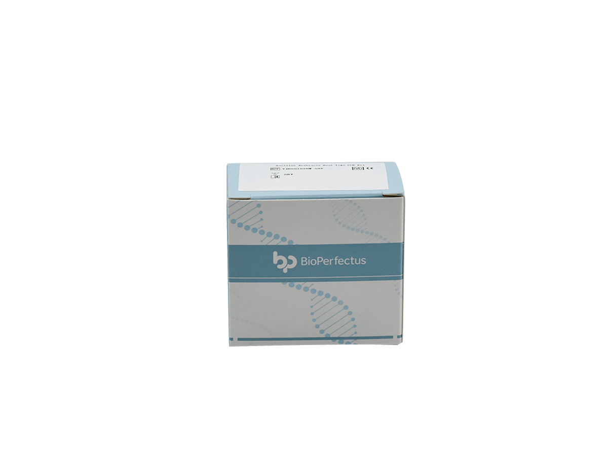 BioPerfectus Bacillus Anthracis Real Time PCR Kit