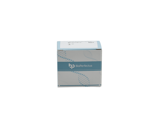 BioPerfectus Bacillus Anthracis Real Time PCR Kit