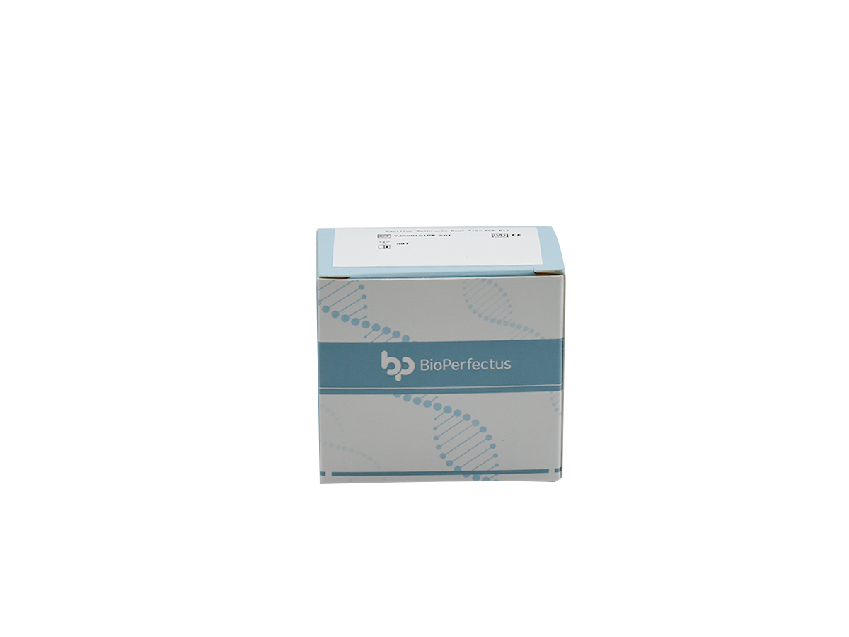 Bacillus Anthracis Real Time PCR Kit