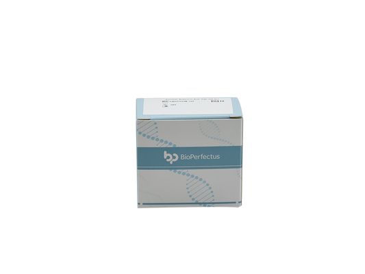 Bacillus Anthracis Real Time PCR Kit