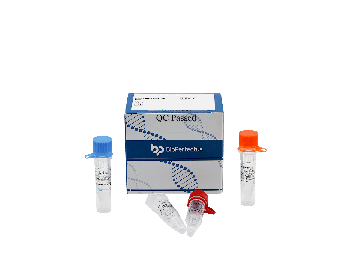 BioPerfectus Bartonella Real Time PCR Kit