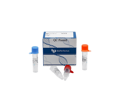 BioPerfectus Bartonella Real Time PCR Kit